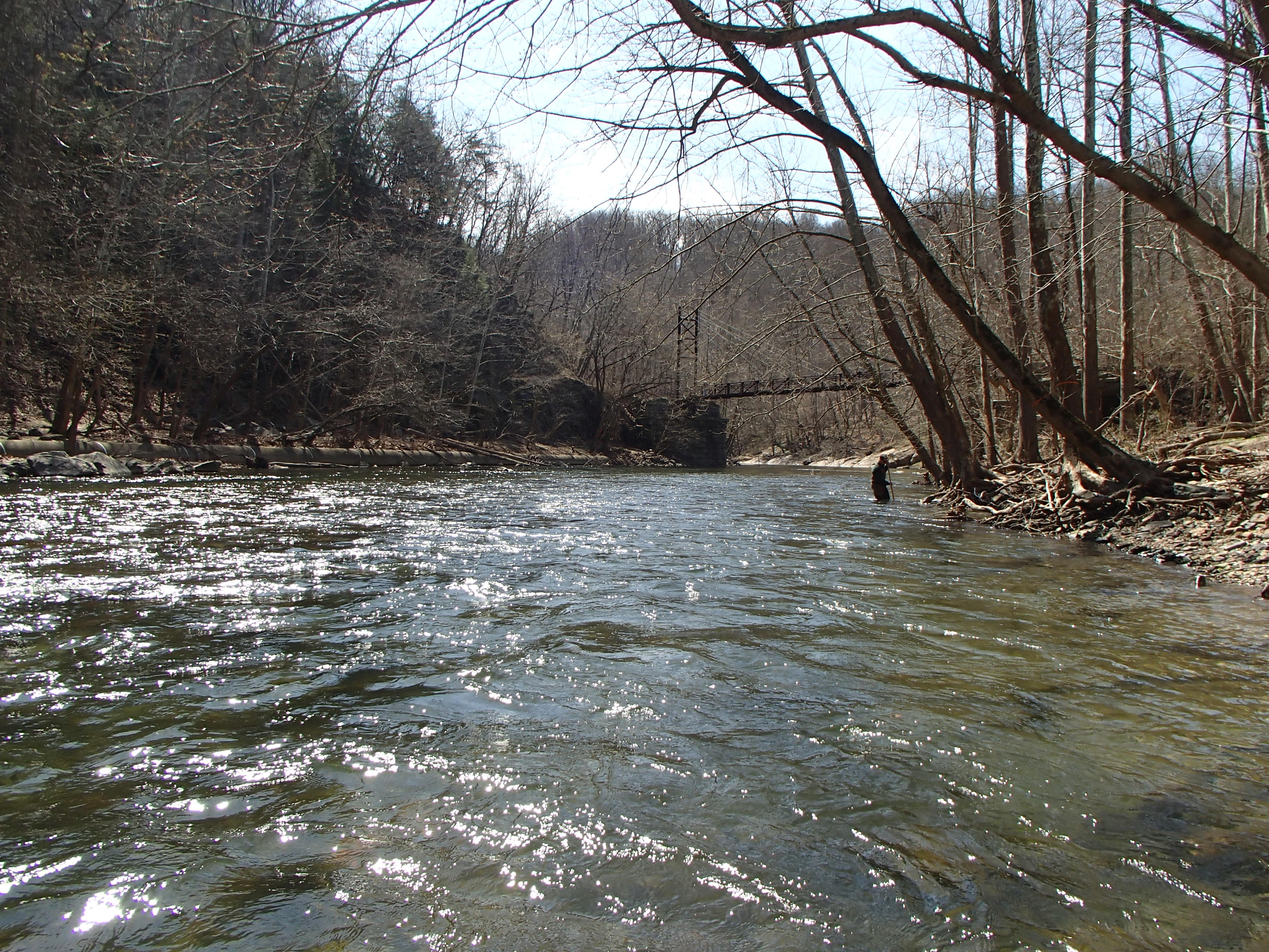 Field photo showing stream conditions at site PATL-B05-X-2016_midpoint looking downstream